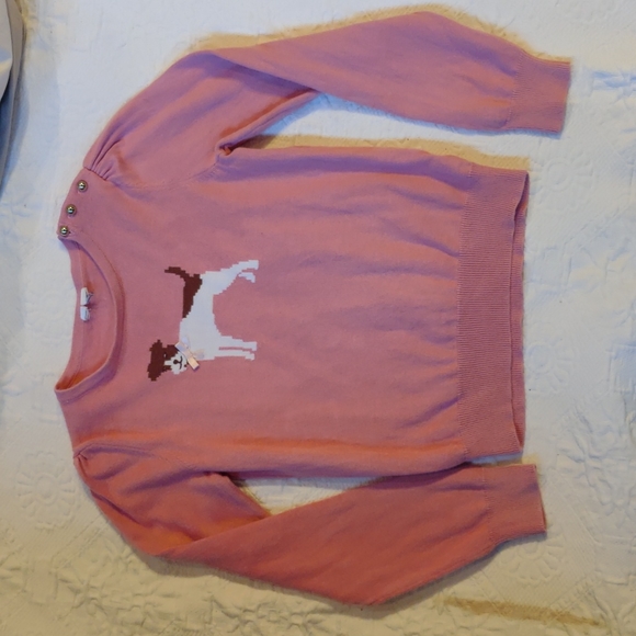 Janie and Jack Other - Janie and Jack dog sweater